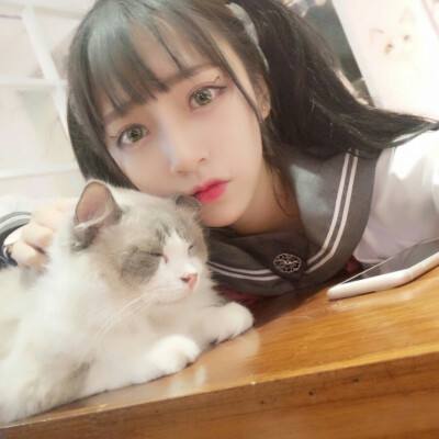 步步惊云游戏